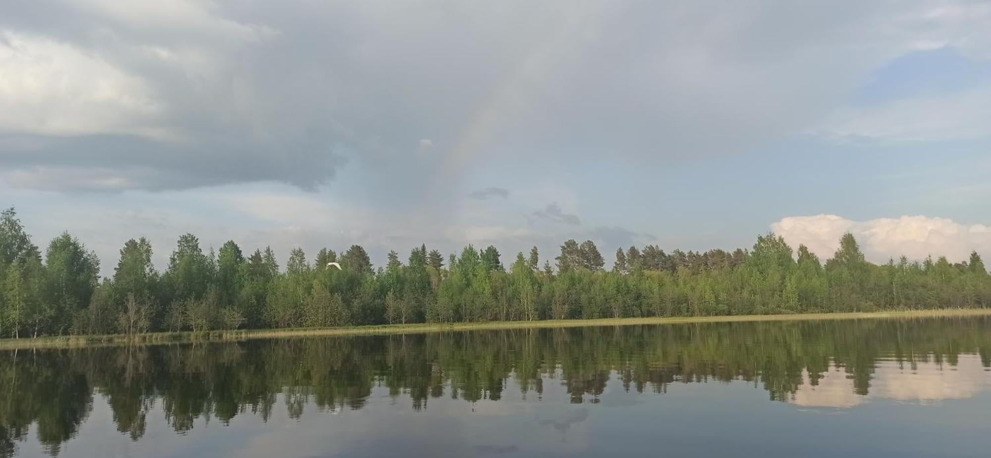 Good Life Homestay Ahmovaara Esterno foto